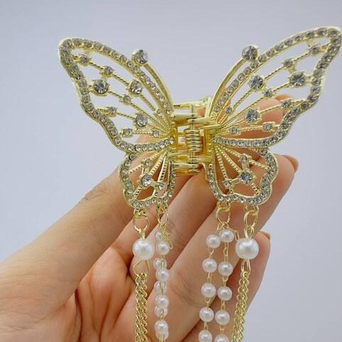 کلیپس مجلسی پروانه