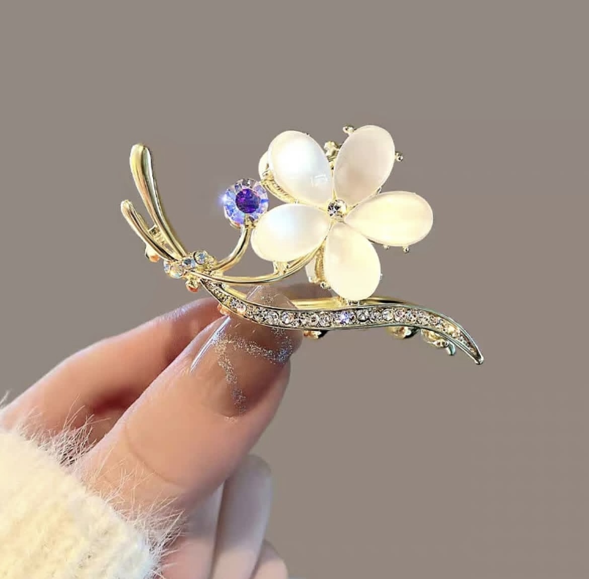 کلیپس مجلسی